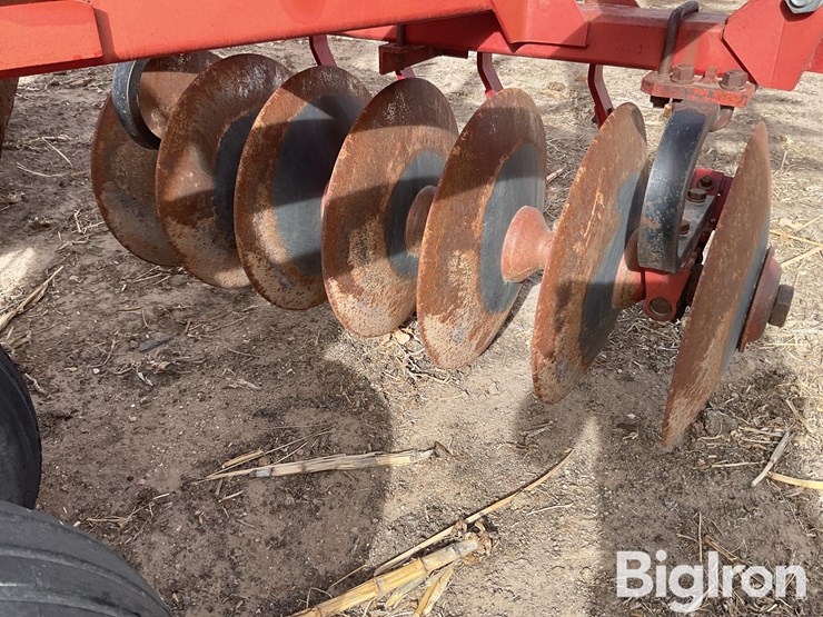 sunflower-1232-32-image-13