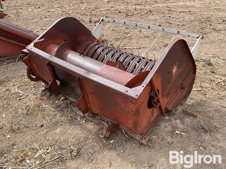 international-5-image-5