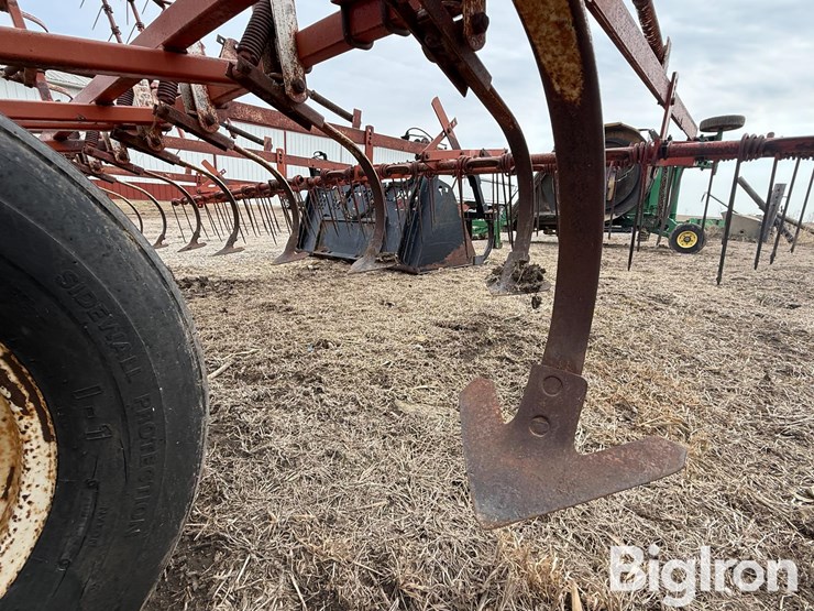 wil-rich-2500-image-14