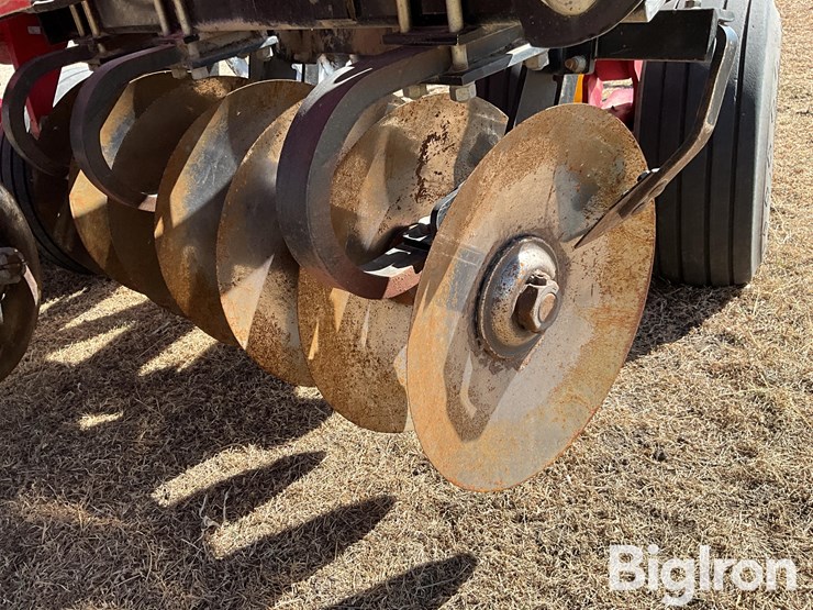 2011-sunflower-1435-image-14