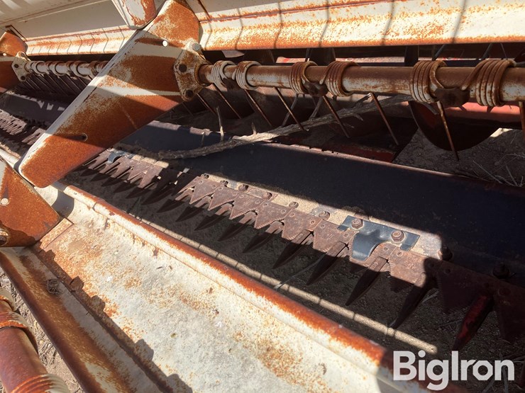 international-1290-image-9