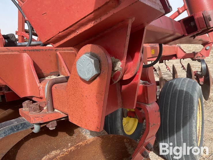 sunflower-1232-32-image-19