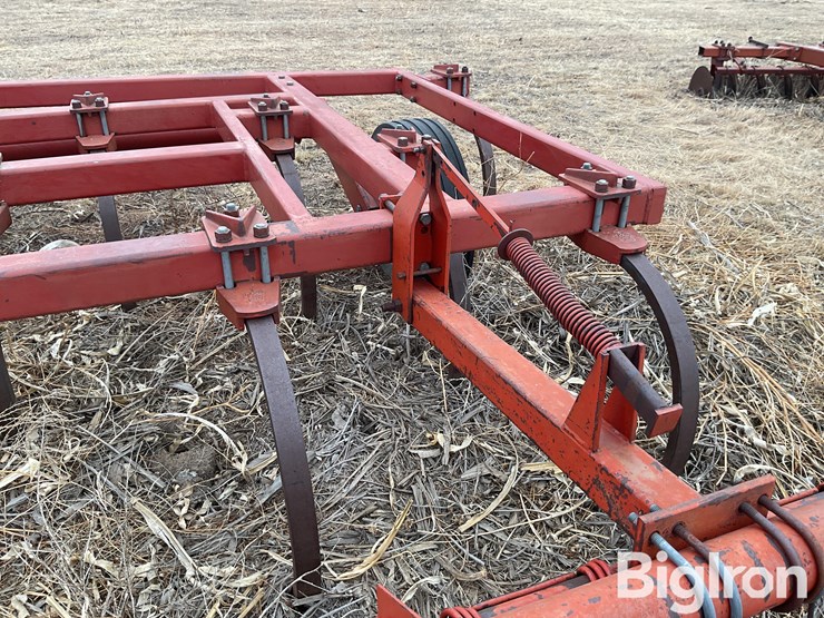 sunflower-2330-image-19