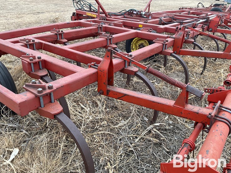 sunflower-2330-image-15