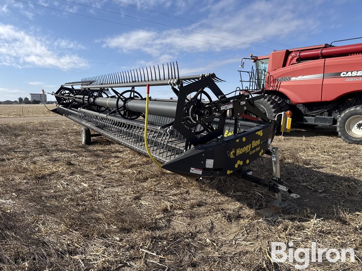 2016-honey-bee-sp36-image-1