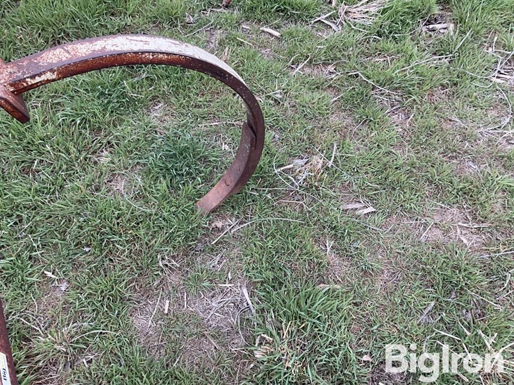 international-55-image-10