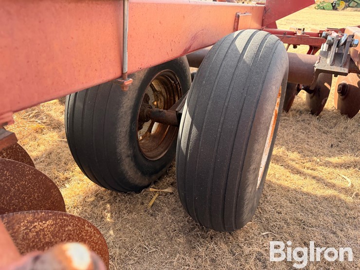 international-490-image-20