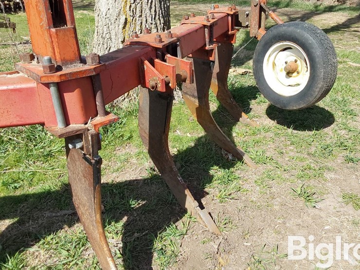 international-10-image-12