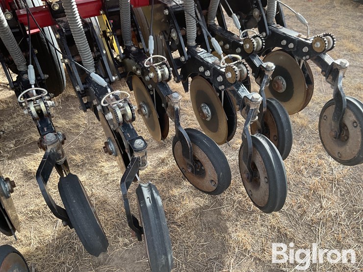 sunflower-9433-30-image-18