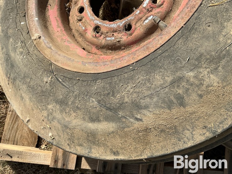 international-8-image-9