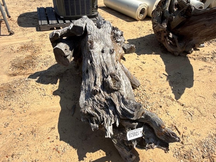 5236---fat-lighter-stump-image-3