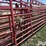 diamond-w-portable-folding-livestock-corral-image-15