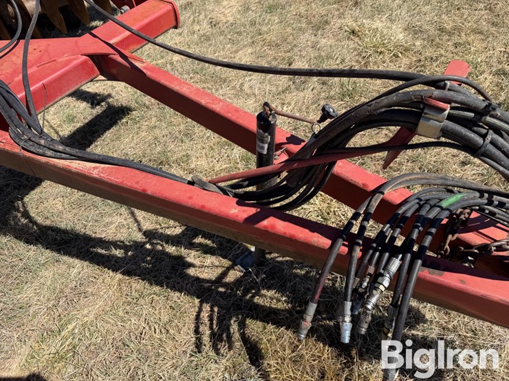 sunflower-1434-36-image-12