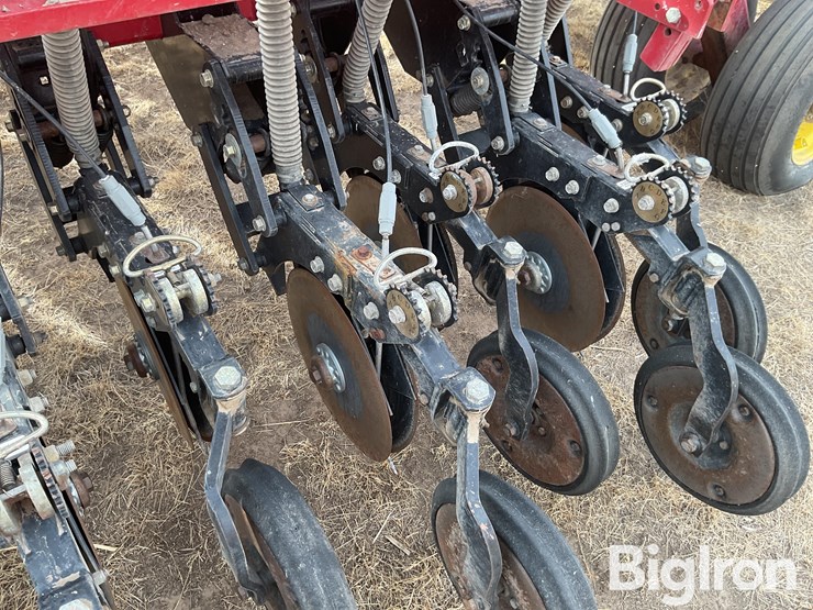 sunflower-9433-30-image-14