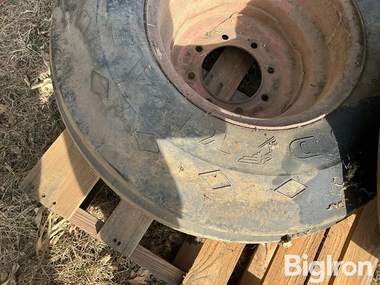 international-8-image-18