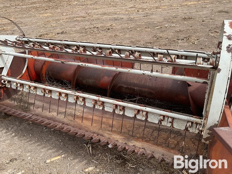 international-7-image-9