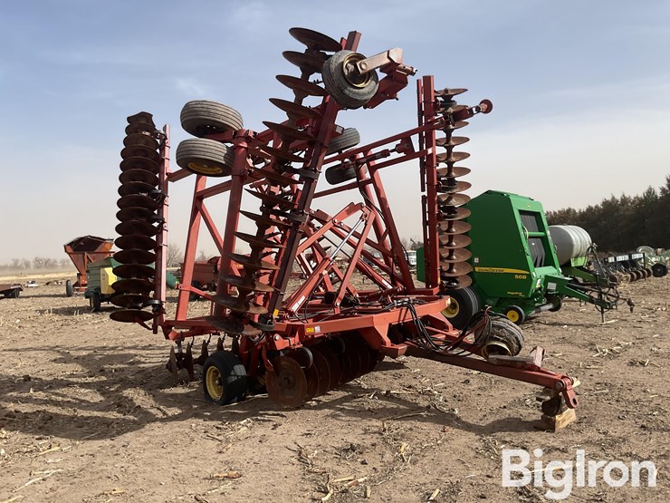 sunflower-1232-32-image-3