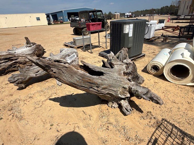 5235---fat-lighter-stump-image-2