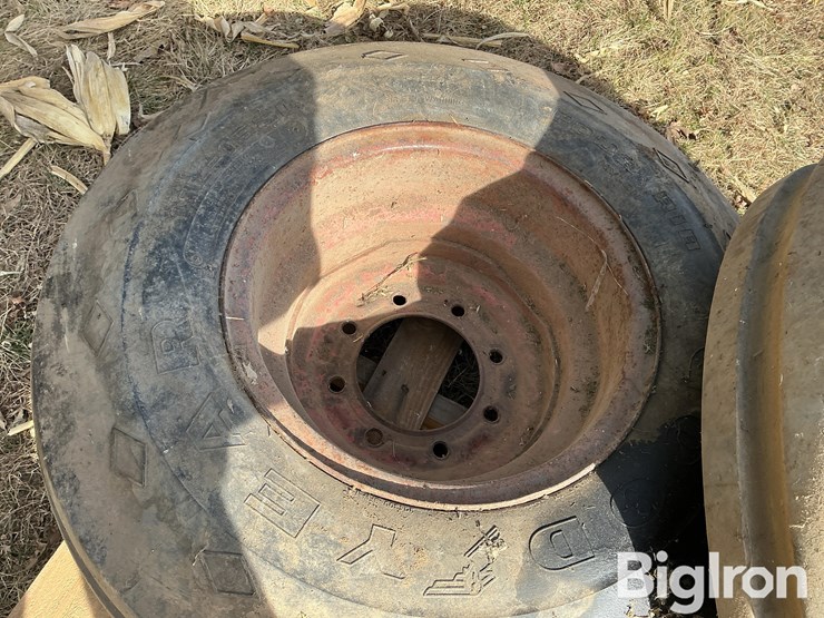 international-8-image-17