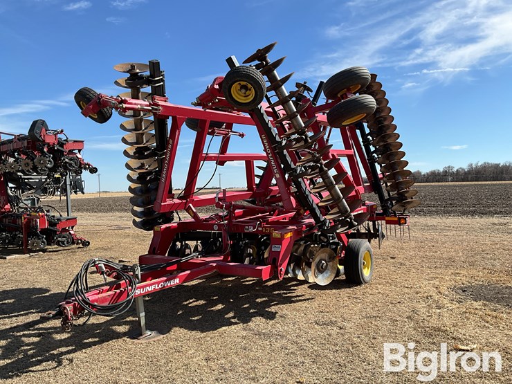 2011-sunflower-1435-image-1