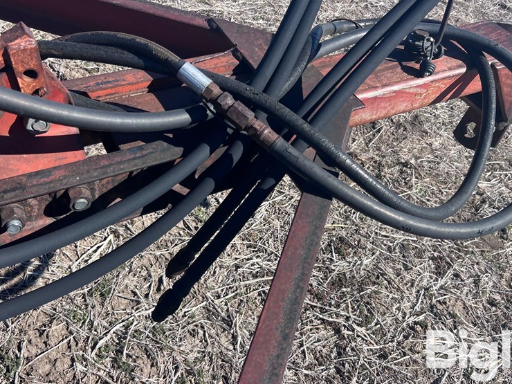 international-45-image-20