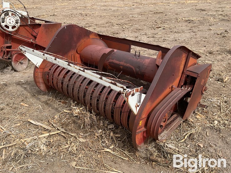 international-5-image-1