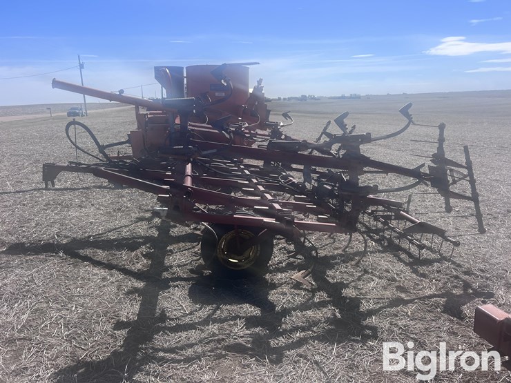 international-45-image-8