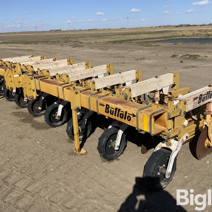BUFFALO 6300