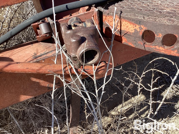 international-1290-image-17