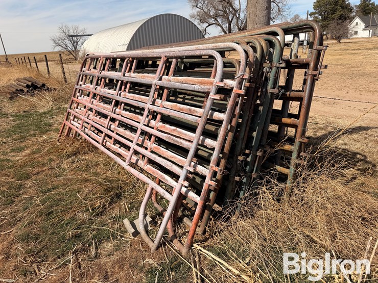 12'-livestock-panels-image-1