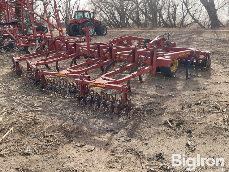 sunflower-4212-image-5