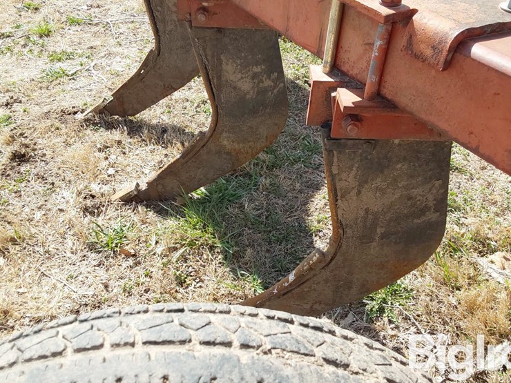 international-10-image-17