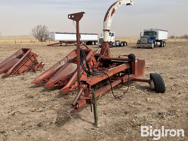 international-555-image-1