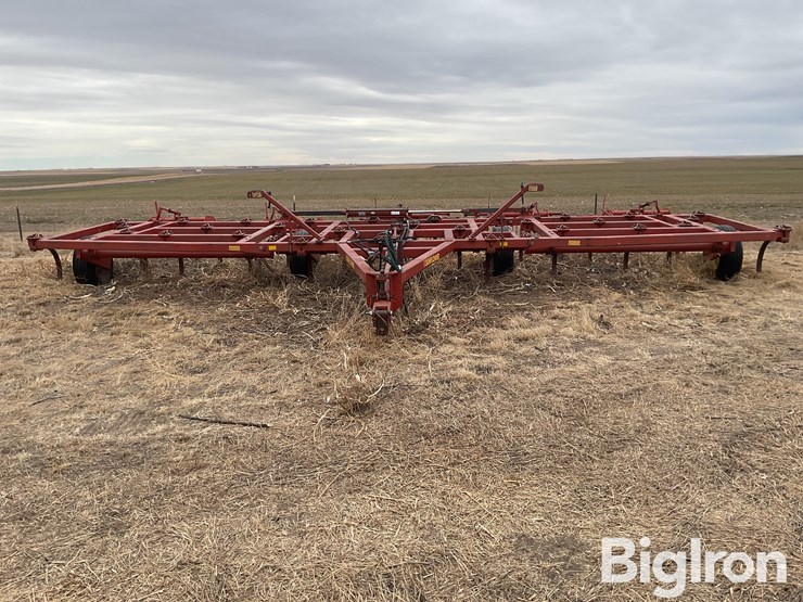 sunflower-2330-image-2