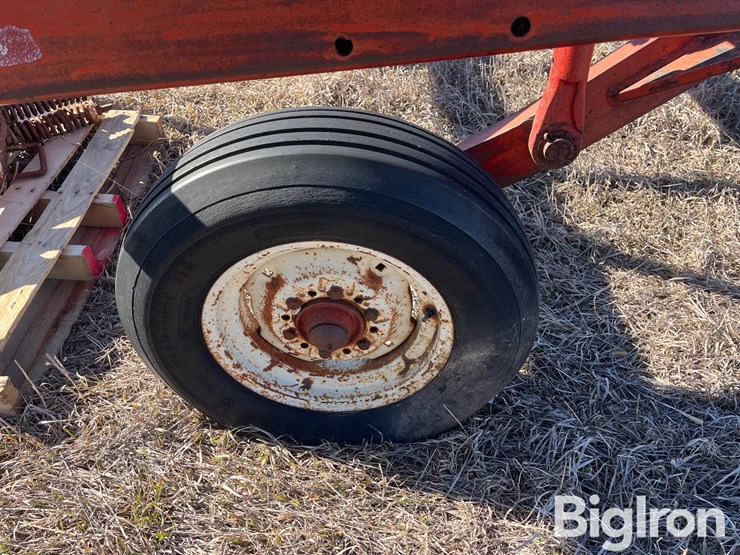 international-55-image-14