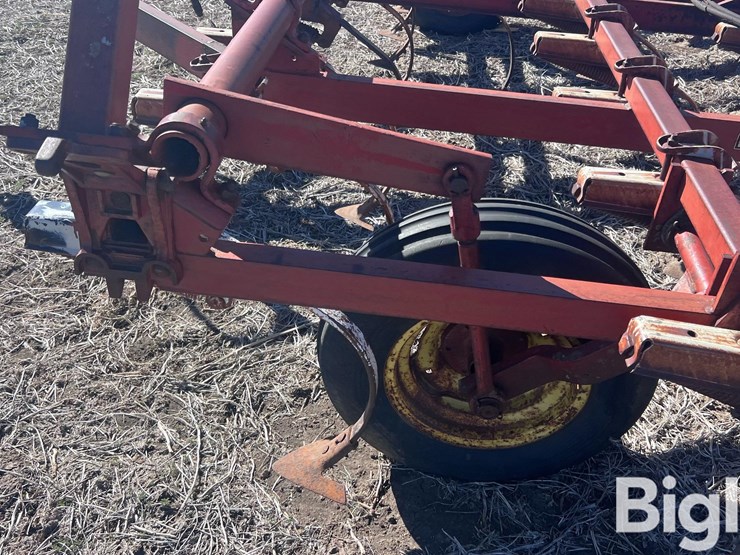 international-45-image-13