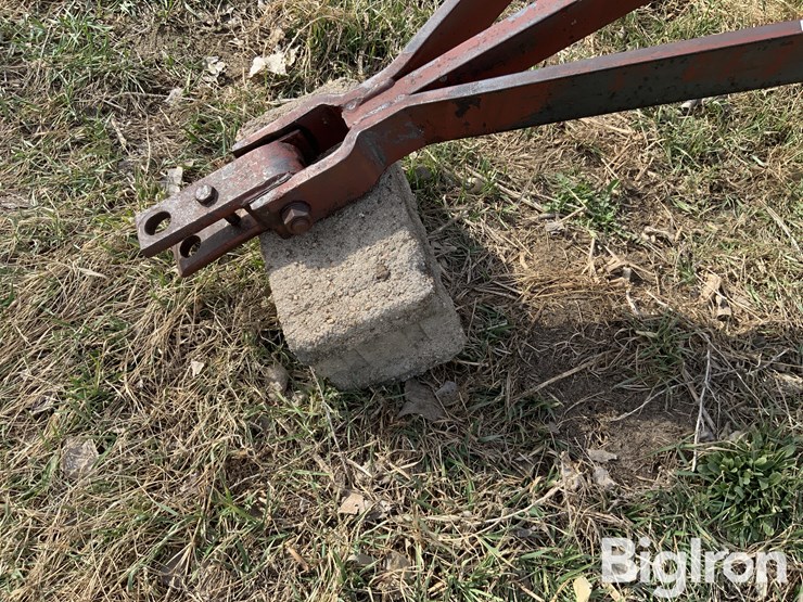 international-470-image-9