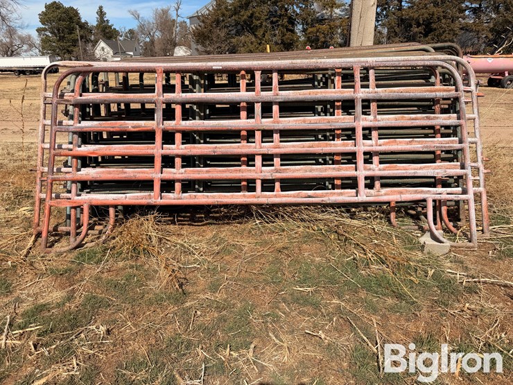 12'-livestock-panels-image-2