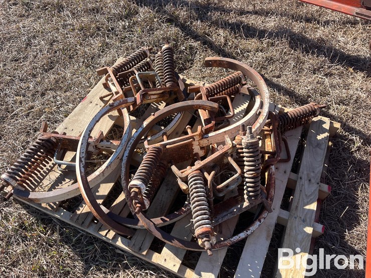 international-55-image-18