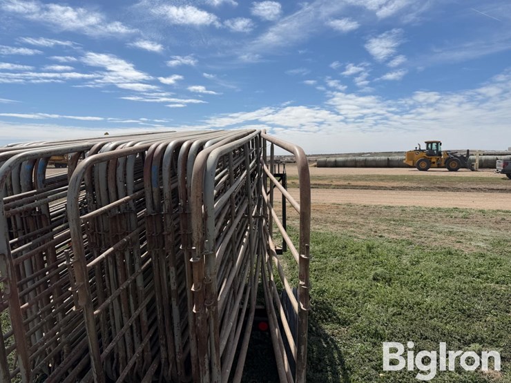 livestock-panels-&-trailer-image-17