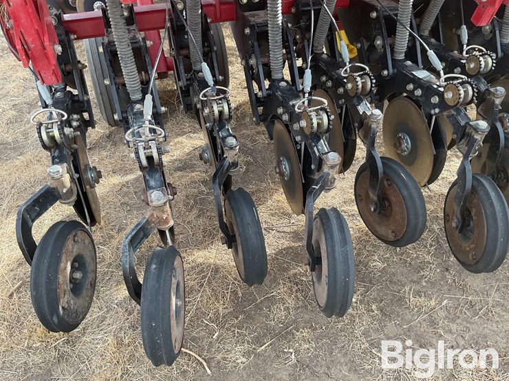 sunflower-9433-30-image-17