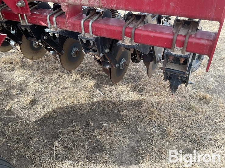 sunflower-9433-30-image-15