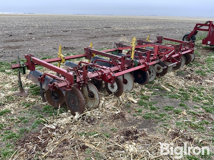 international-470-image-3