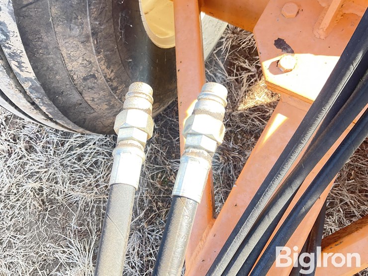 big-dog-s11-image-14