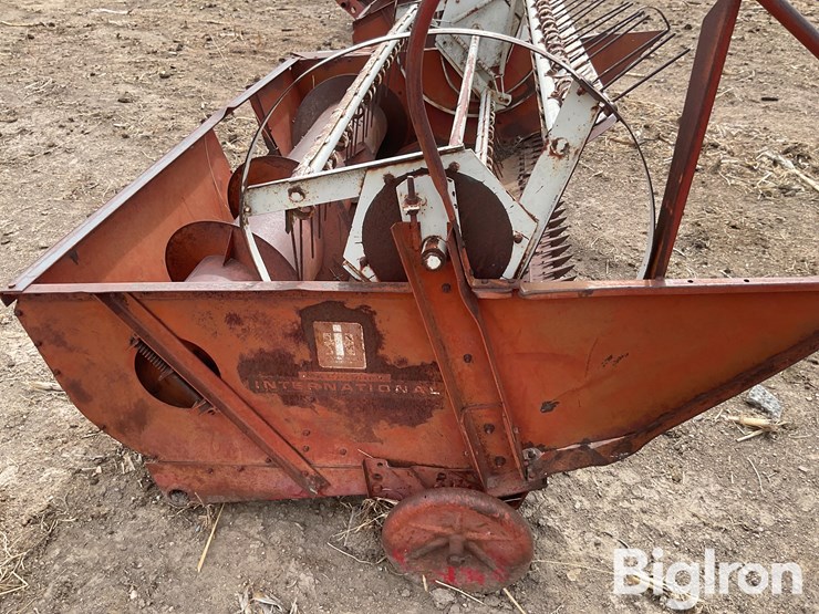 international-7-image-15