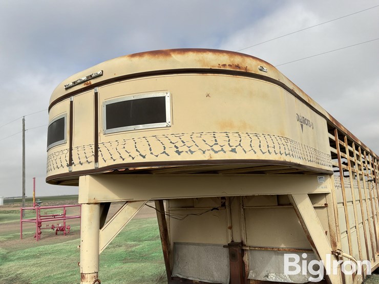 1988-diamond-d-image-10