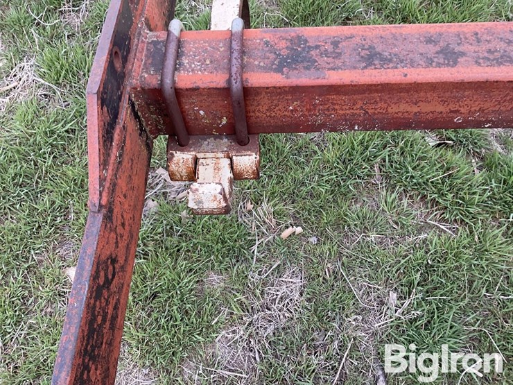 international-55-image-19