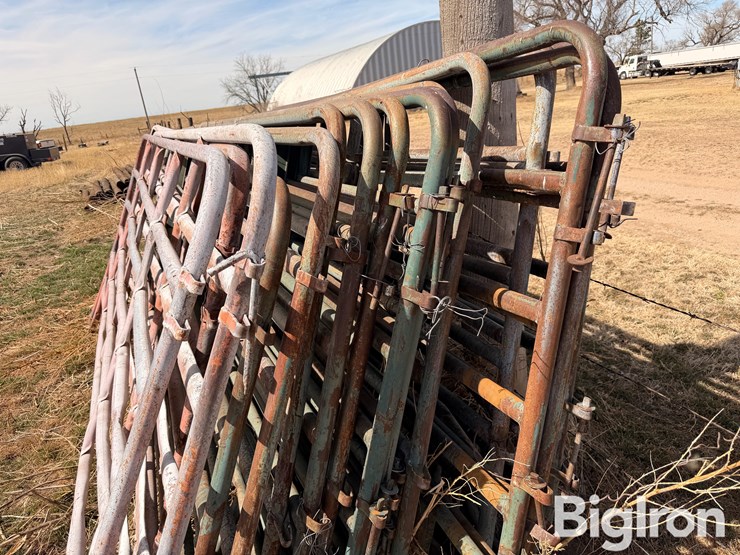 12'-livestock-panels-image-6