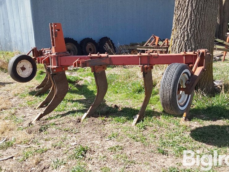 international-10-image-1