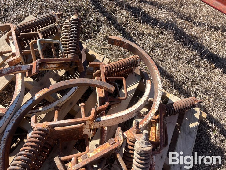 international-55-image-19